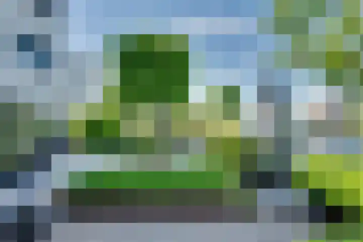 De Zonkade 18 Rosmalen thumbnail 4