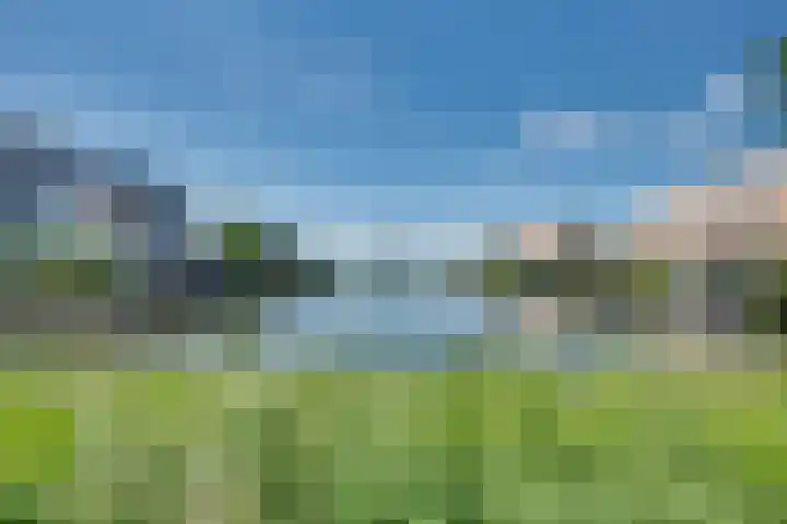De Zonkade 18 Rosmalen thumbnail 46