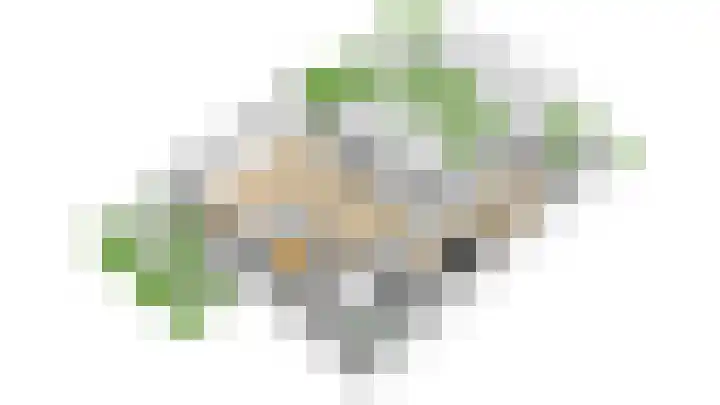 De Zonkade 18 Rosmalen thumbnail 48
