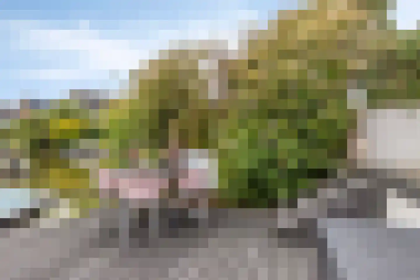 De Zonkade 19 Rosmalen thumbnail 38