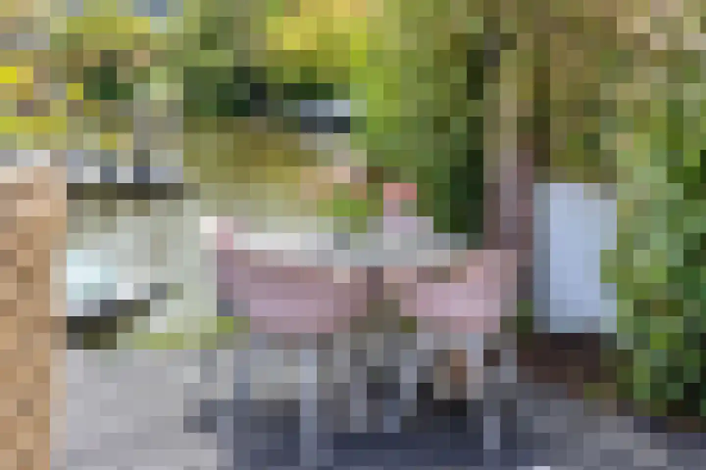 De Zonkade 19 Rosmalen thumbnail 38