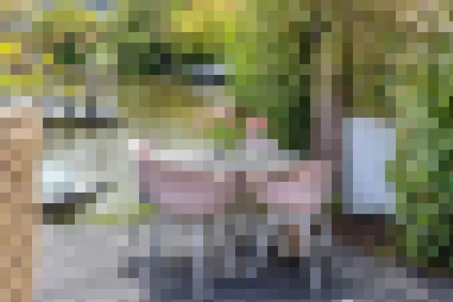 De Zonkade 19 Rosmalen thumbnail 39