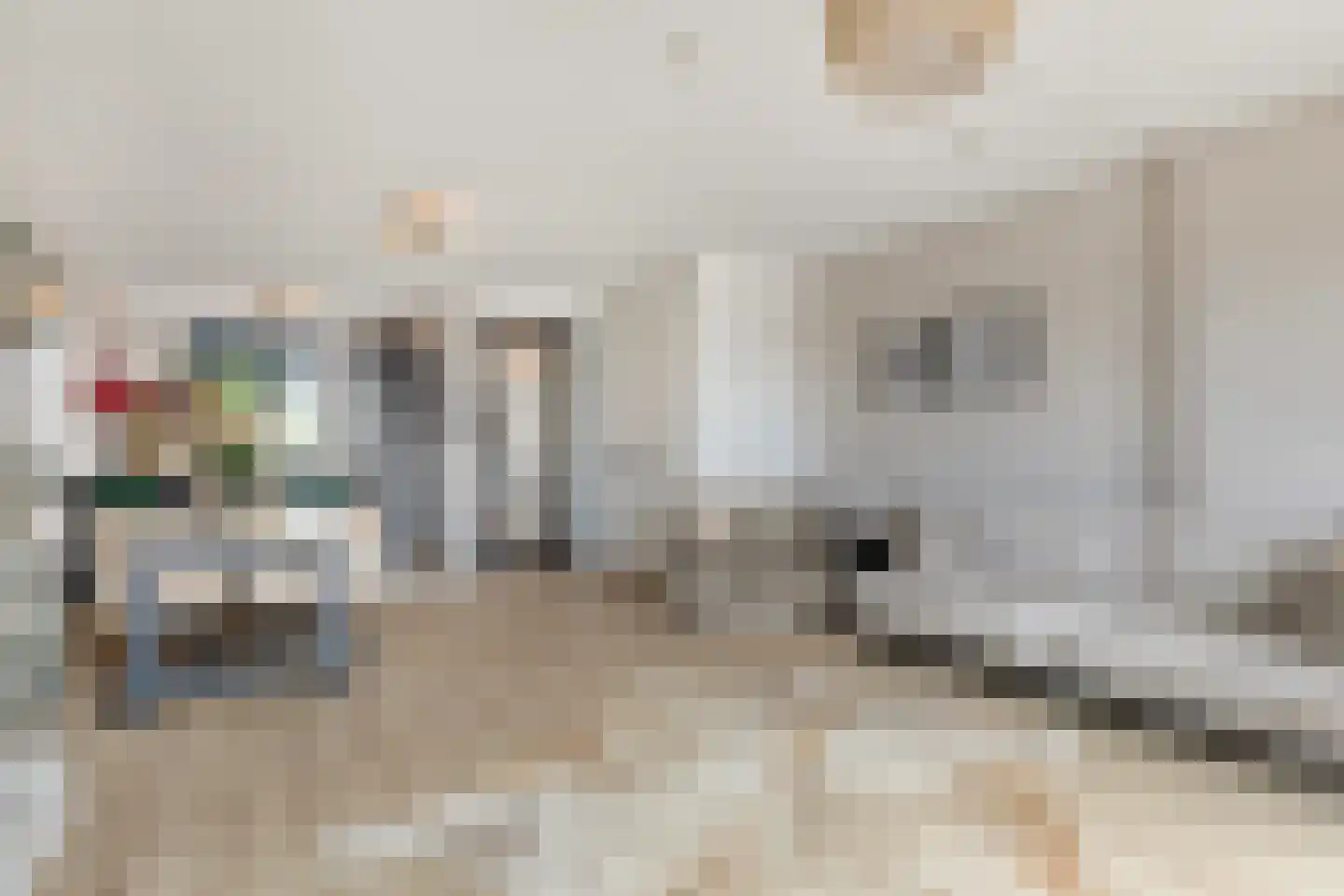 De Zonkade 19 Rosmalen thumbnail 6