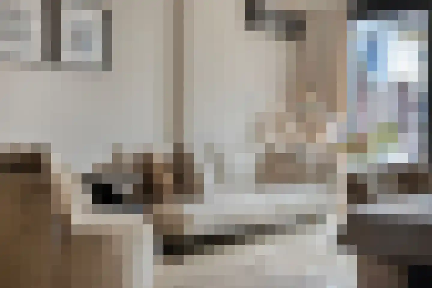 De Zonkade 19 Rosmalen thumbnail 9