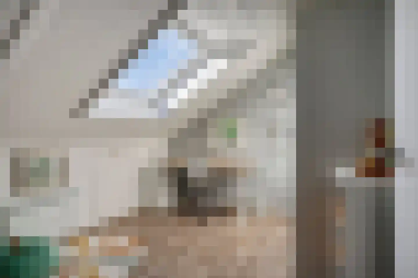 De Zonkade 29 Rosmalen thumbnail 34