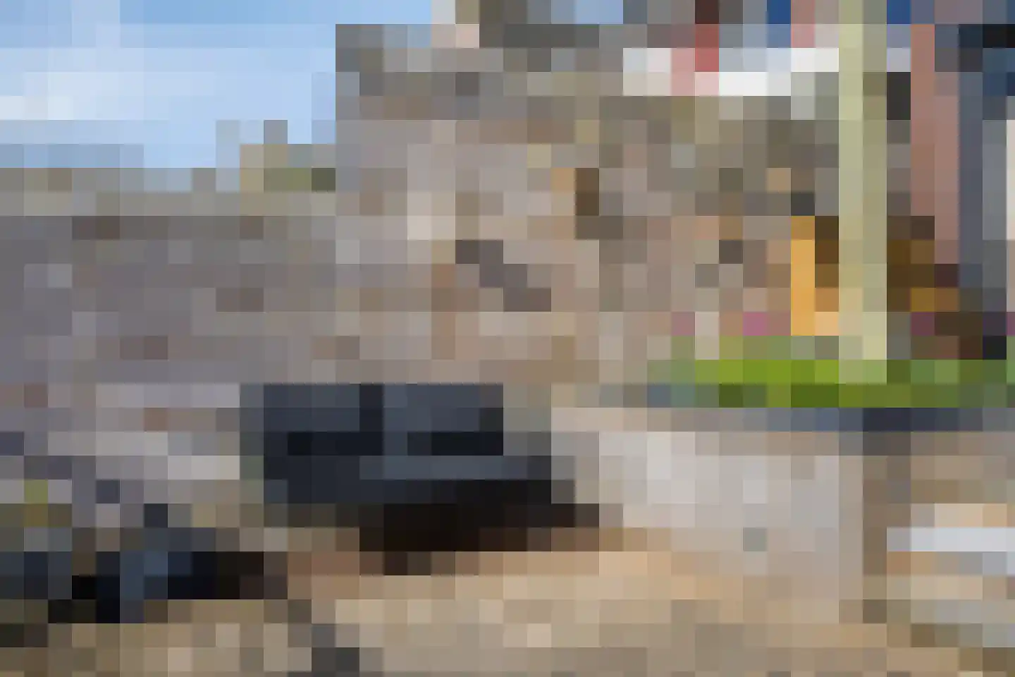 De Zonkade 29 Rosmalen thumbnail 39