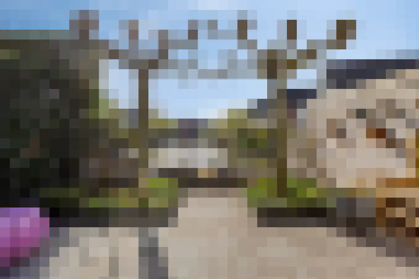 De Zonkade 29 Rosmalen thumbnail 40