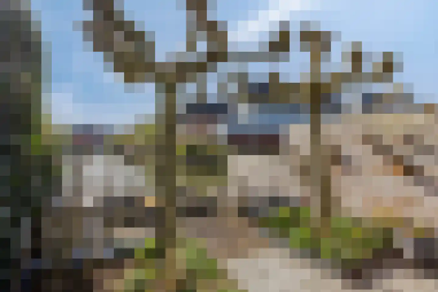 De Zonkade 29 Rosmalen thumbnail 41