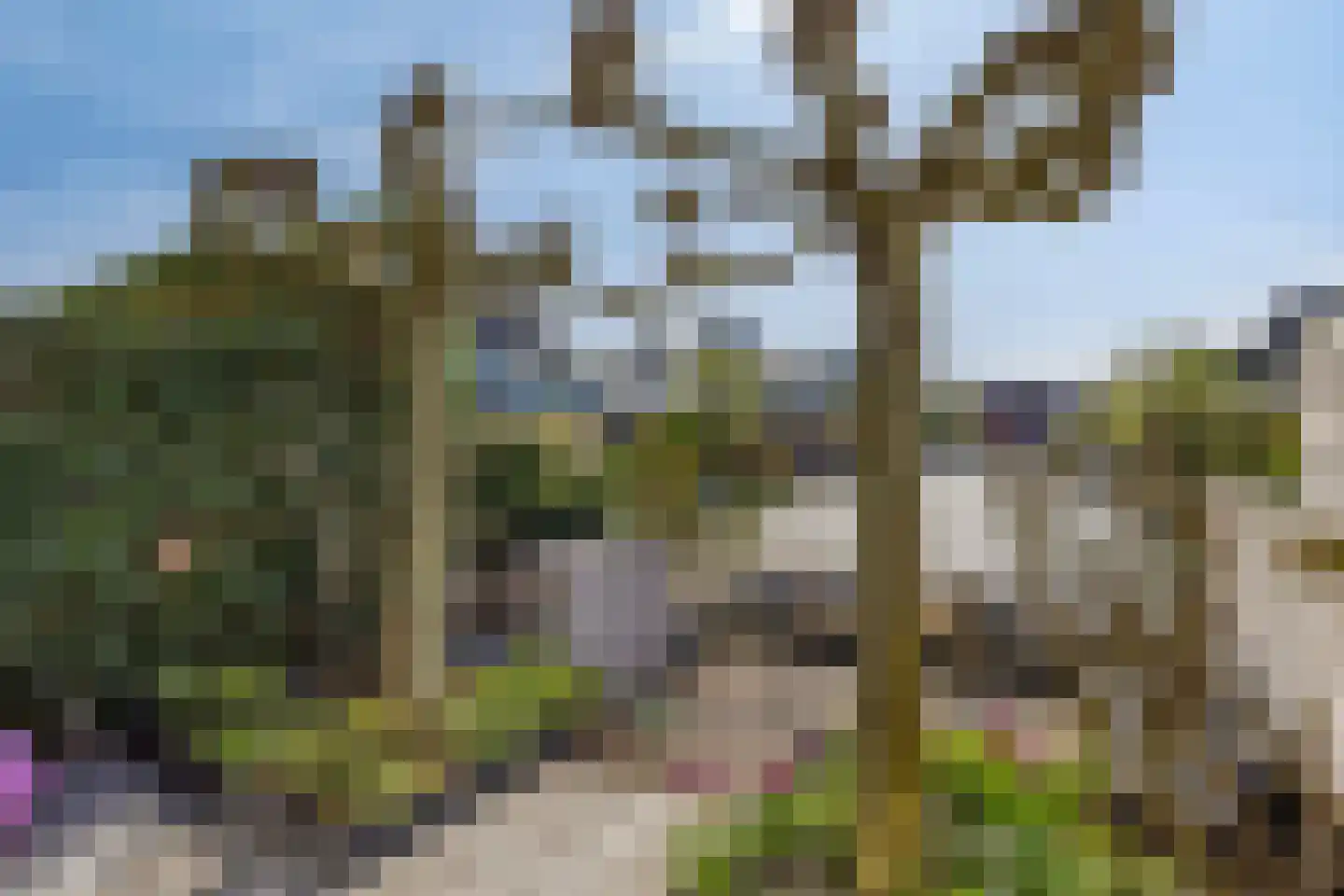 De Zonkade 29 Rosmalen thumbnail 42