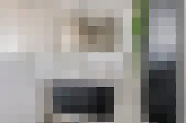 De Zonkade 31 Rosmalen thumbnail 33