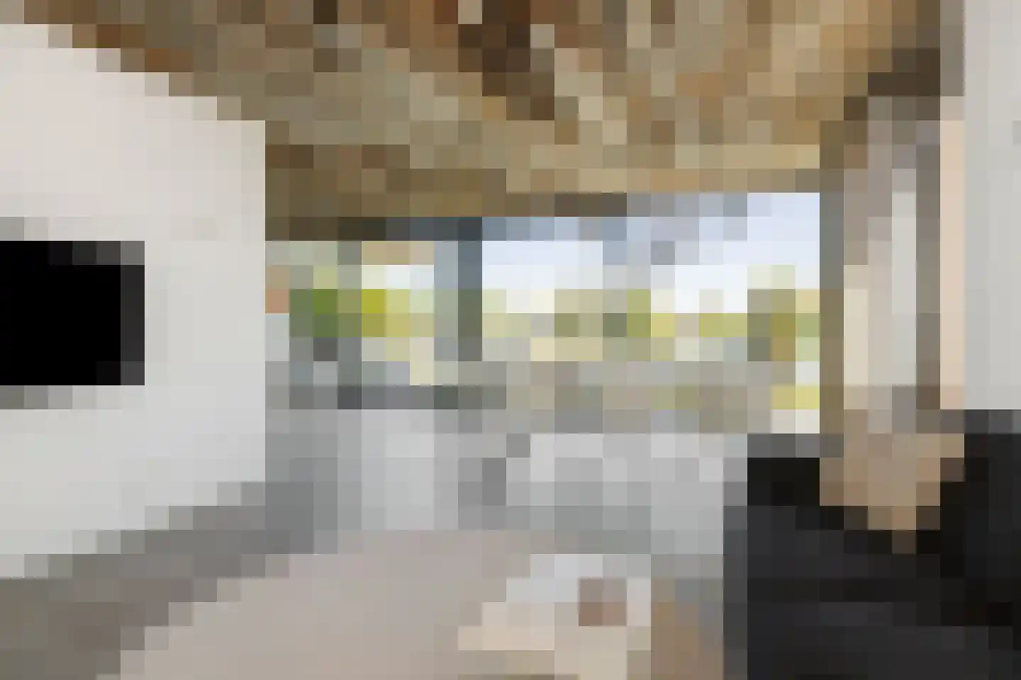 De Zonkade 34 Rosmalen thumbnail 4
