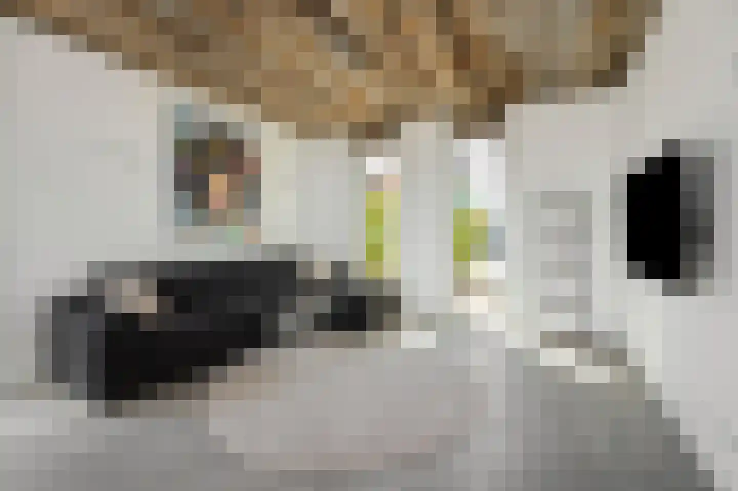 De Zonkade 34 Rosmalen thumbnail 5