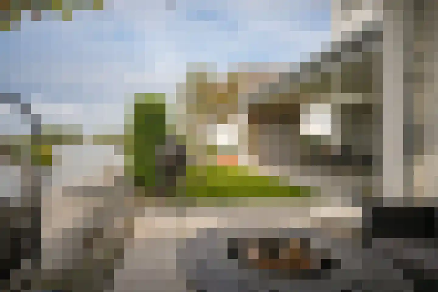 De Zonkade 8 Rosmalen thumbnail 24