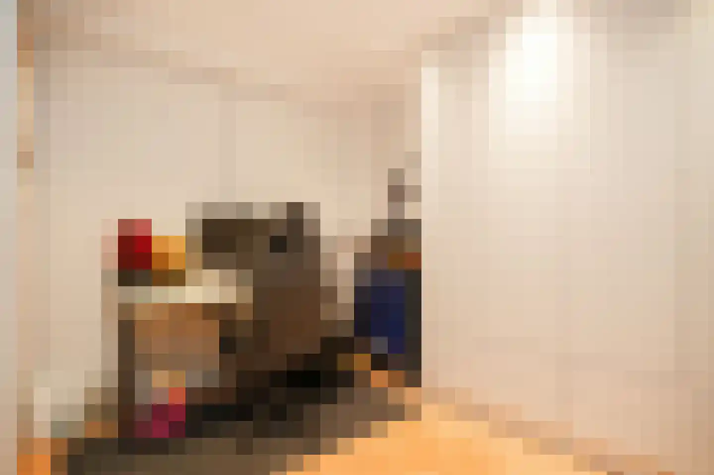 De Zonkade 8 Rosmalen thumbnail 35