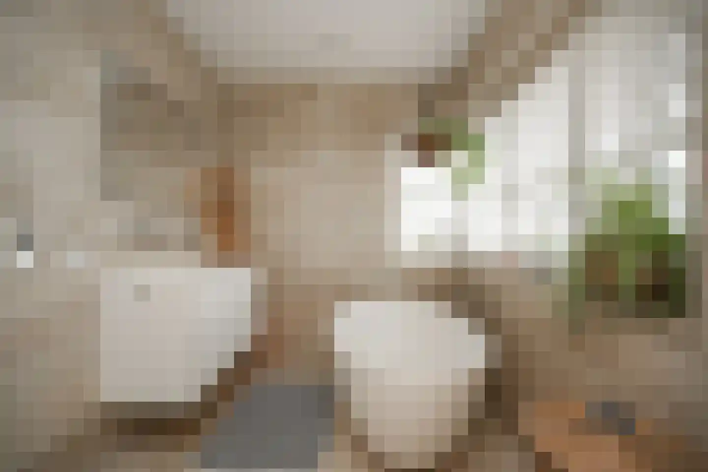 De Zonkade 8 Rosmalen thumbnail 52