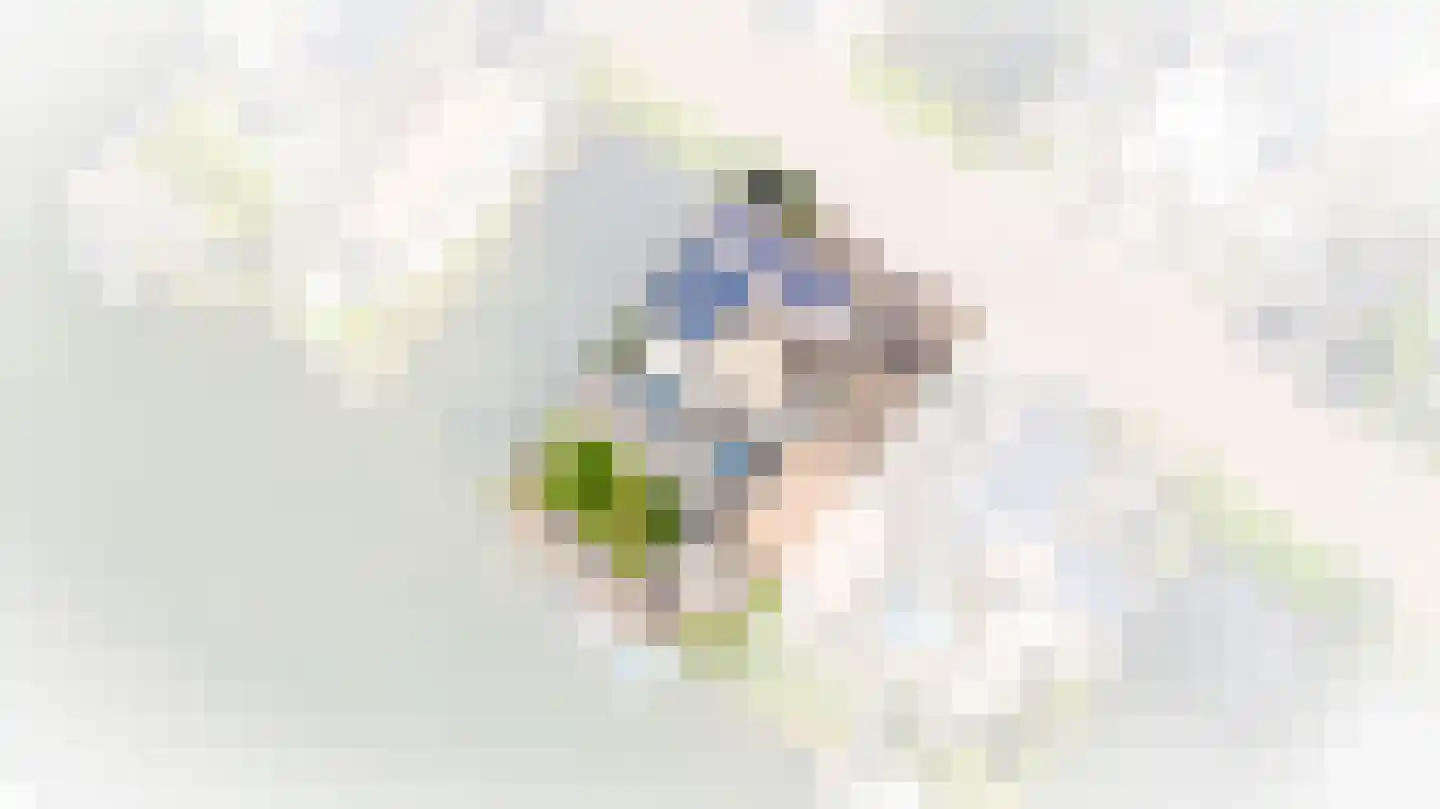 De Zonkade 8 Rosmalen thumbnail 58