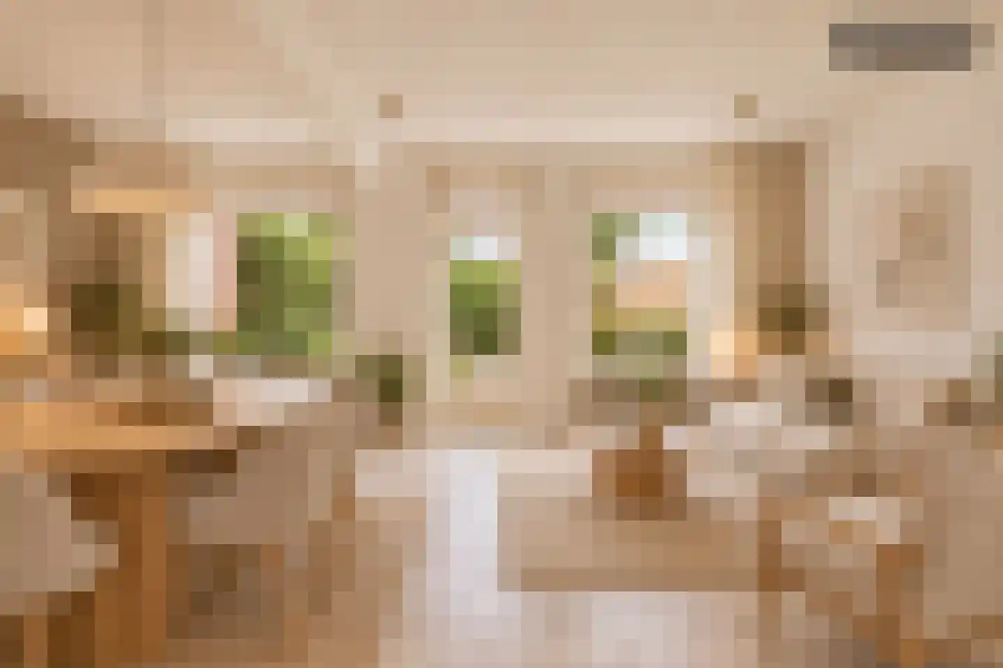 de Zonnebaars 42 Bergschenhoek thumbnail 10