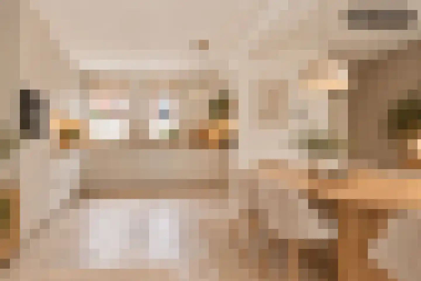 de Zonnebaars 42 Bergschenhoek thumbnail 13