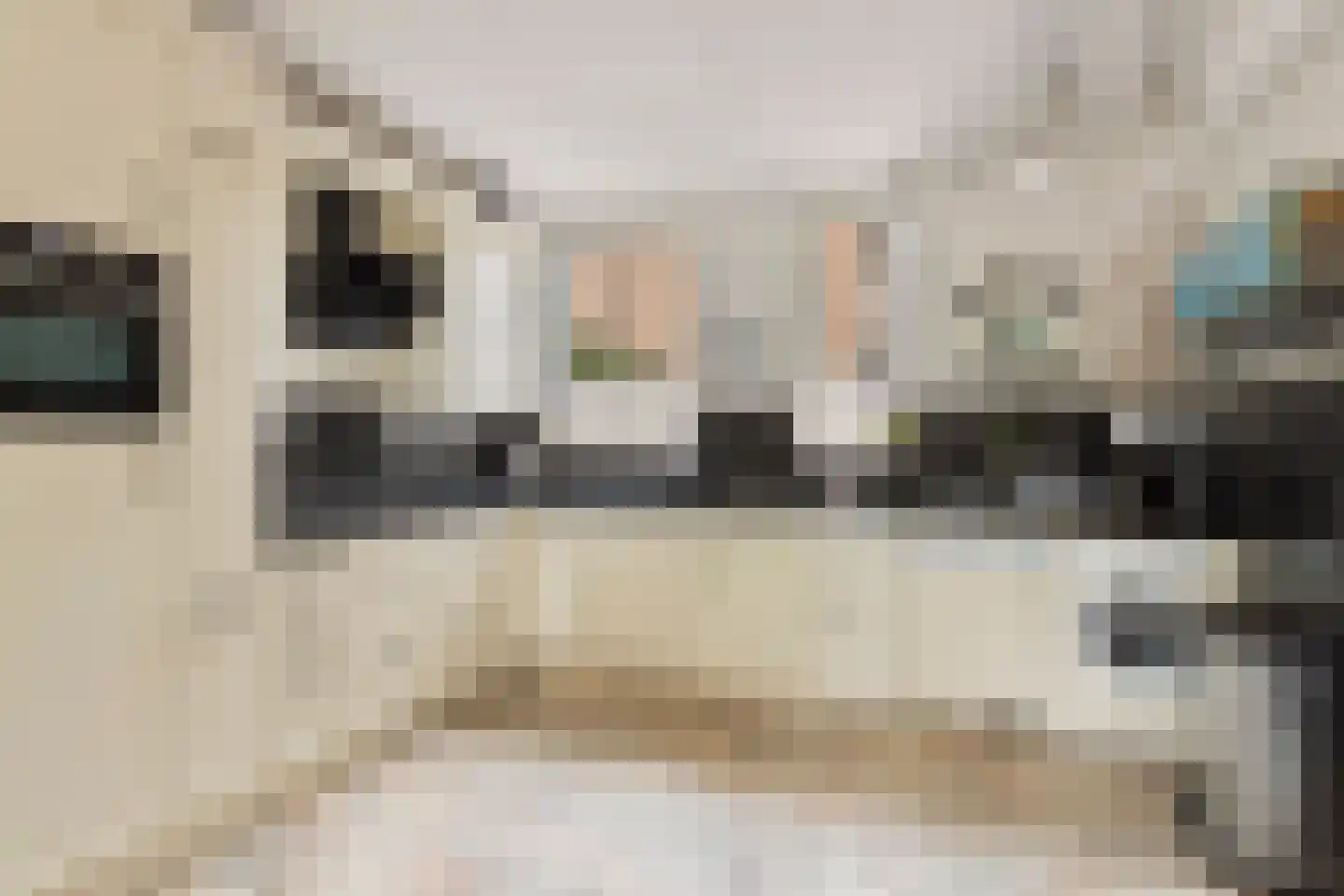 de Zonnebaars 42 Bergschenhoek thumbnail 14