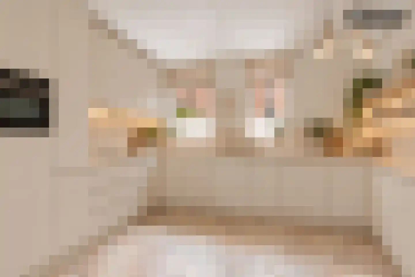 de Zonnebaars 42 Bergschenhoek thumbnail 15