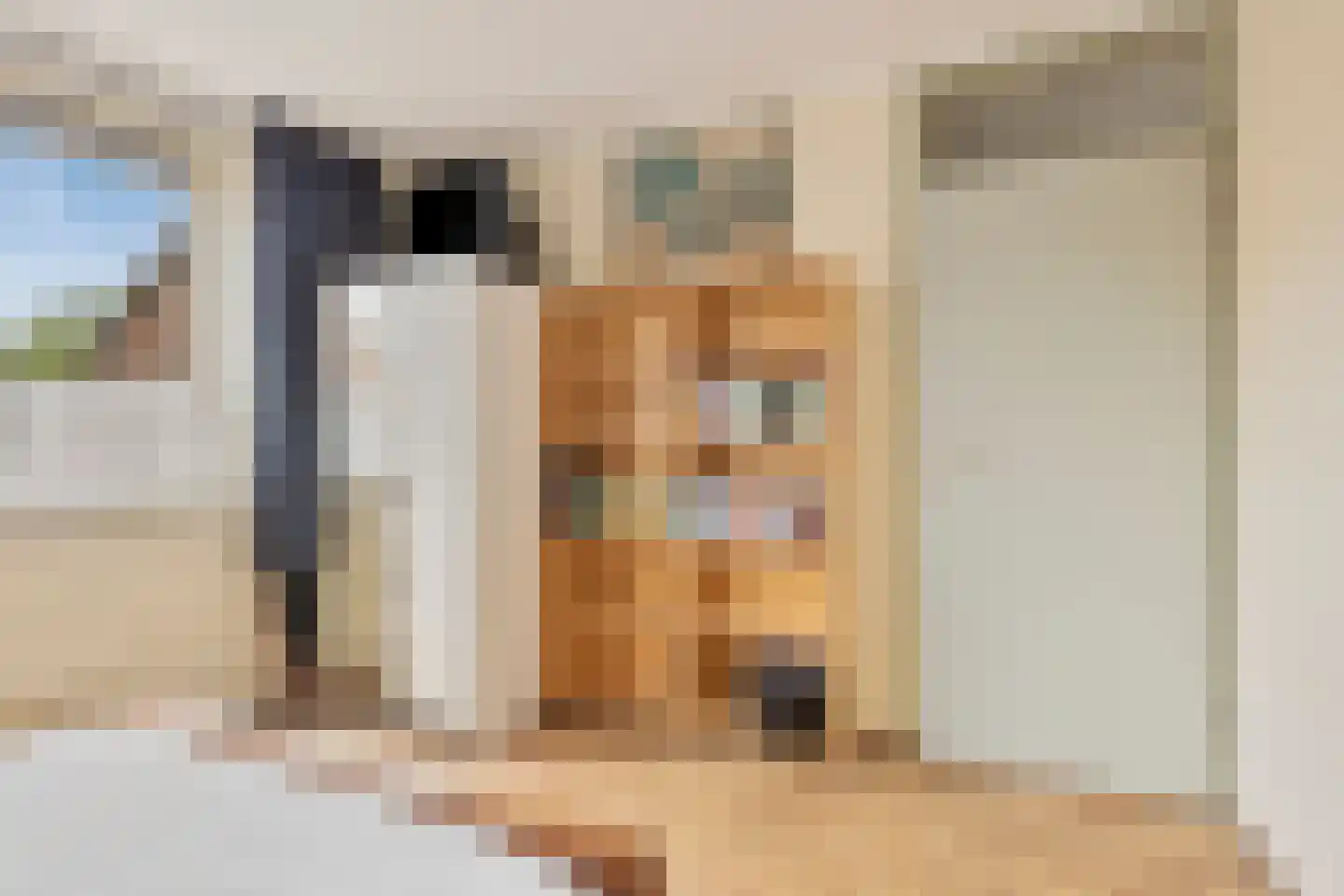 de Zonnebaars 42 Bergschenhoek thumbnail 22