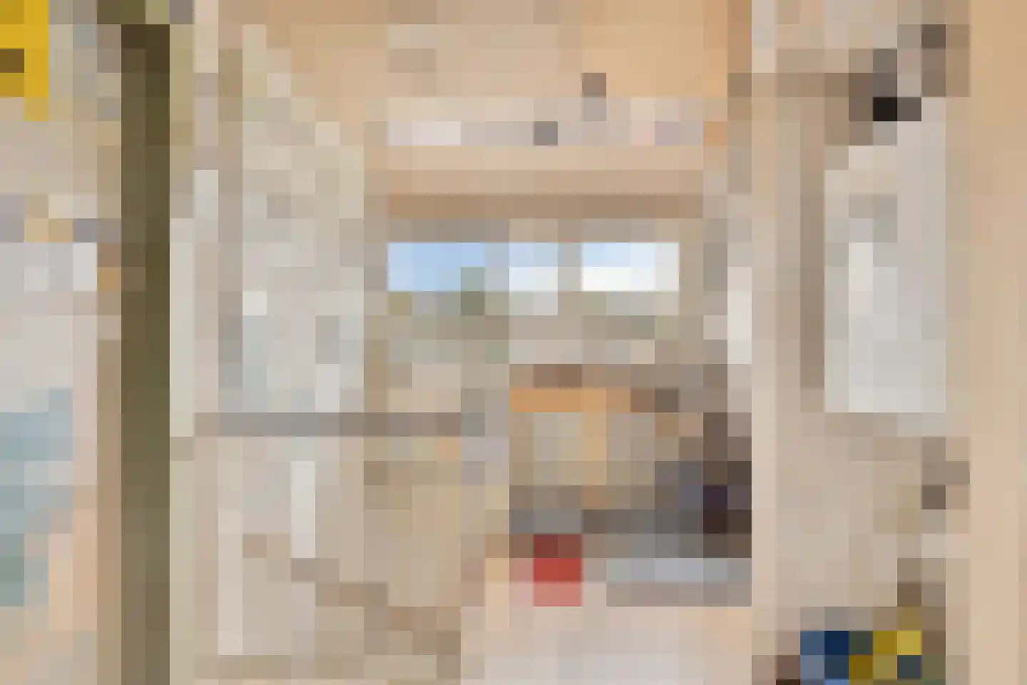 de Zonnebaars 42 Bergschenhoek thumbnail 31