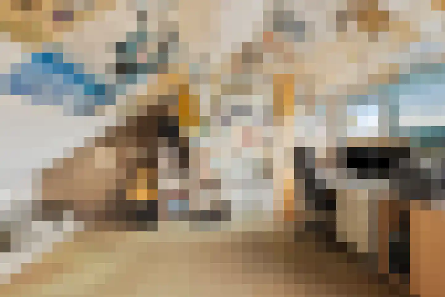 de Zonnebaars 42 Bergschenhoek thumbnail 32