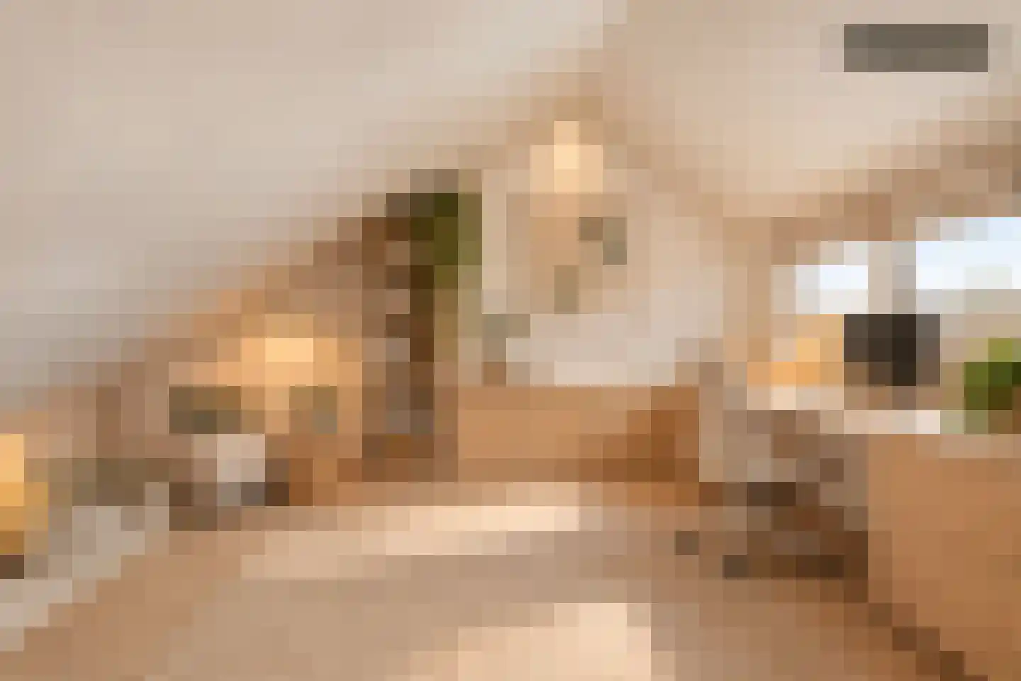 de Zonnebaars 42 Bergschenhoek thumbnail 33