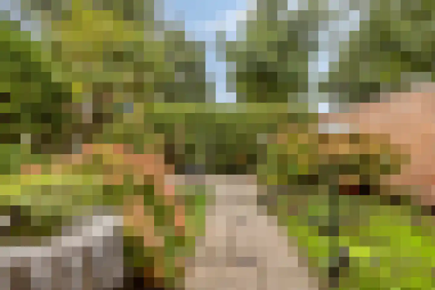 de Zonnebaars 42 Bergschenhoek thumbnail 4