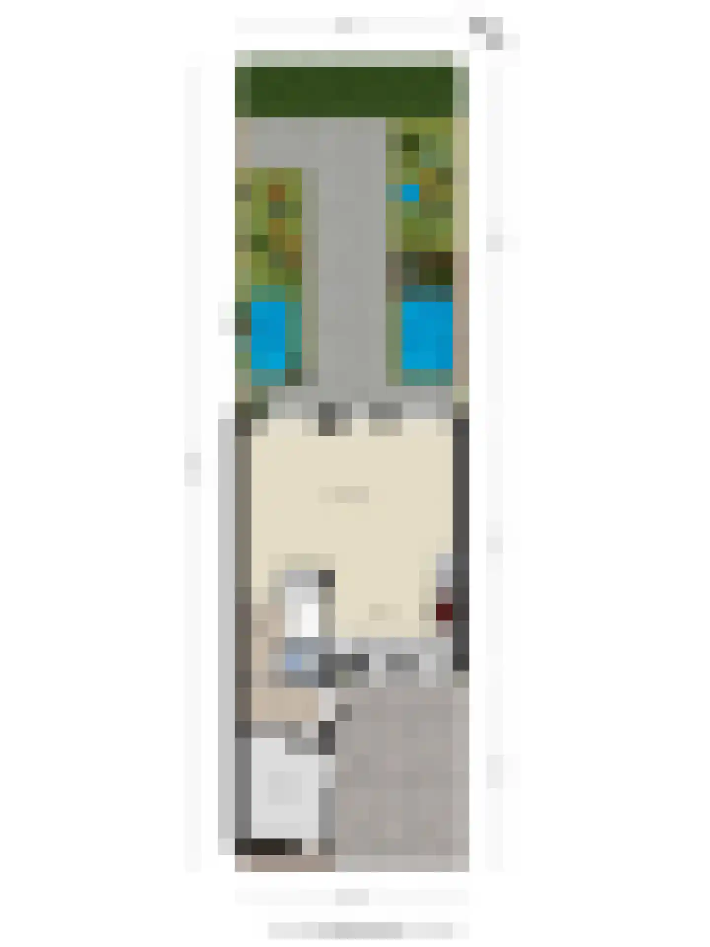 de Zonnebaars 42 Bergschenhoek thumbnail 45