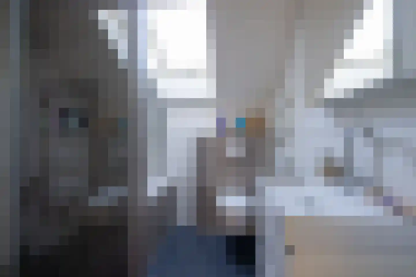 de Zonnebaars 6 Bergschenhoek thumbnail 13