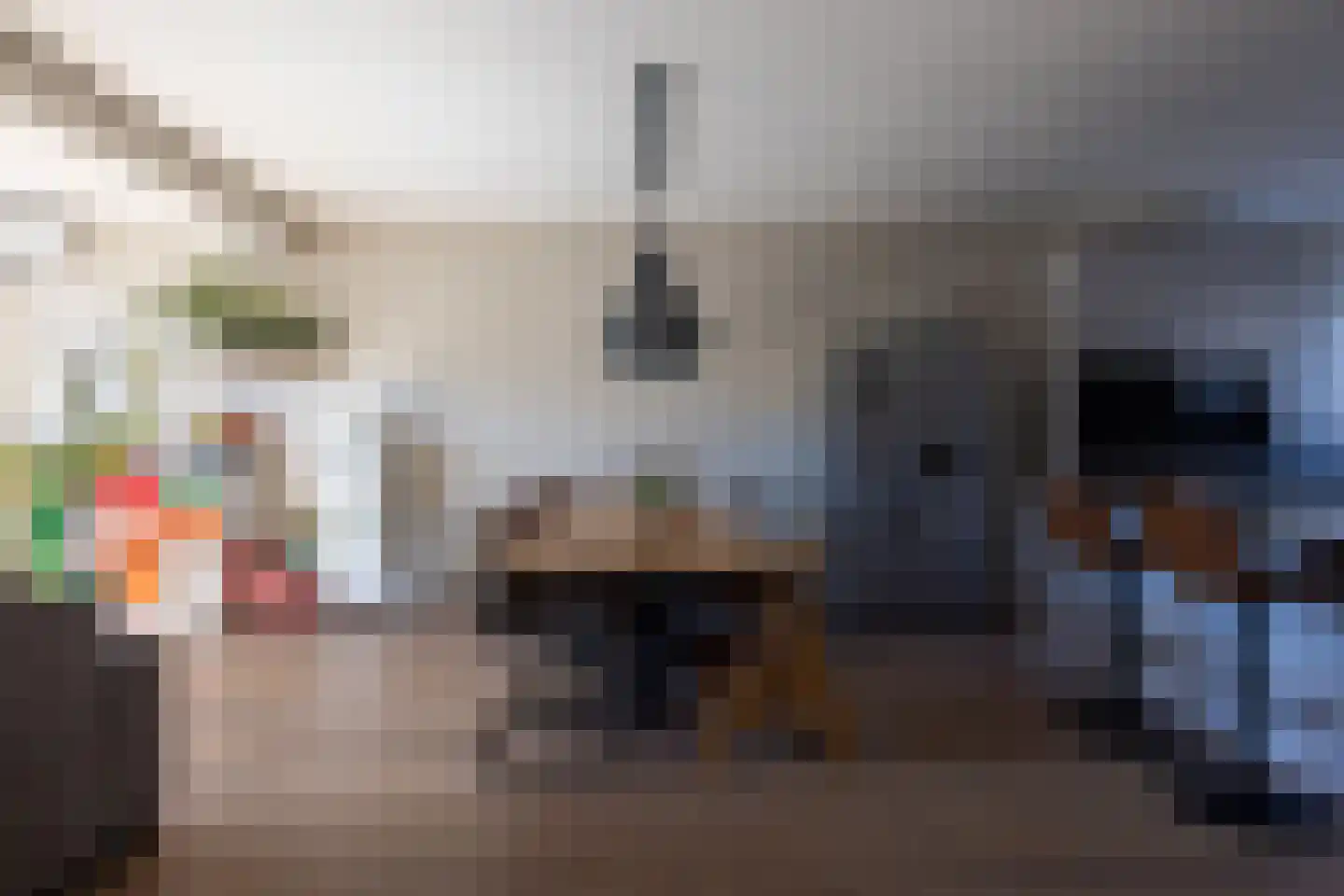de Zonnebaars 6 Bergschenhoek thumbnail 8