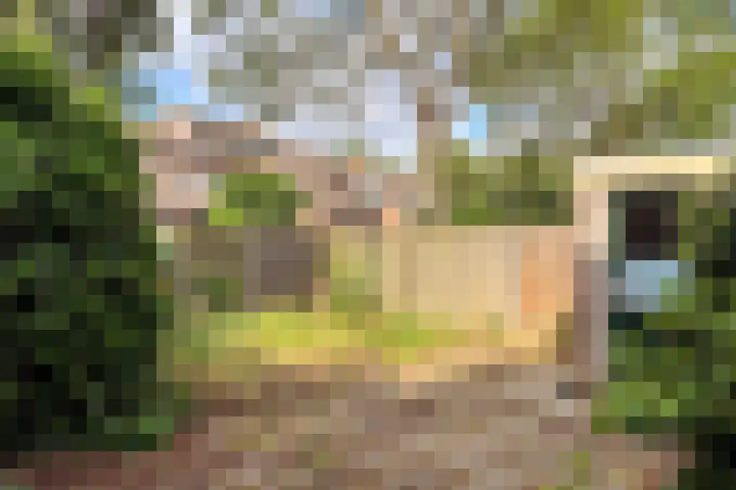 de Zonnebaars 60 Bergschenhoek thumbnail 22