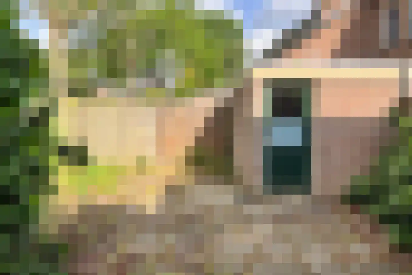 de Zonnebaars 60 Bergschenhoek thumbnail 23
