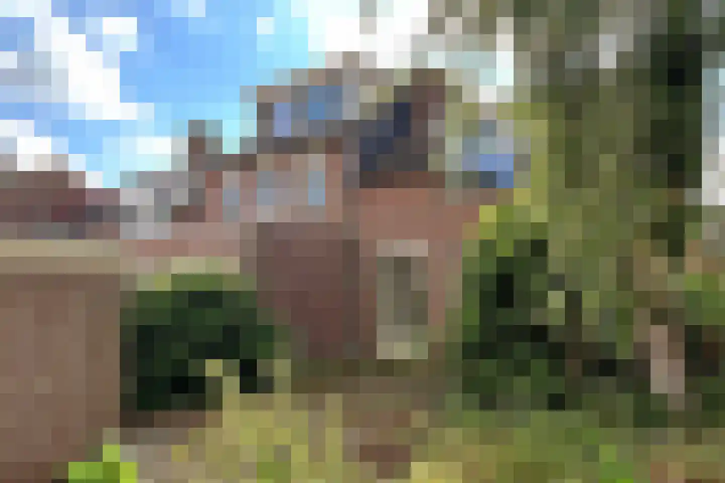 de Zonnebaars 60 Bergschenhoek thumbnail 24