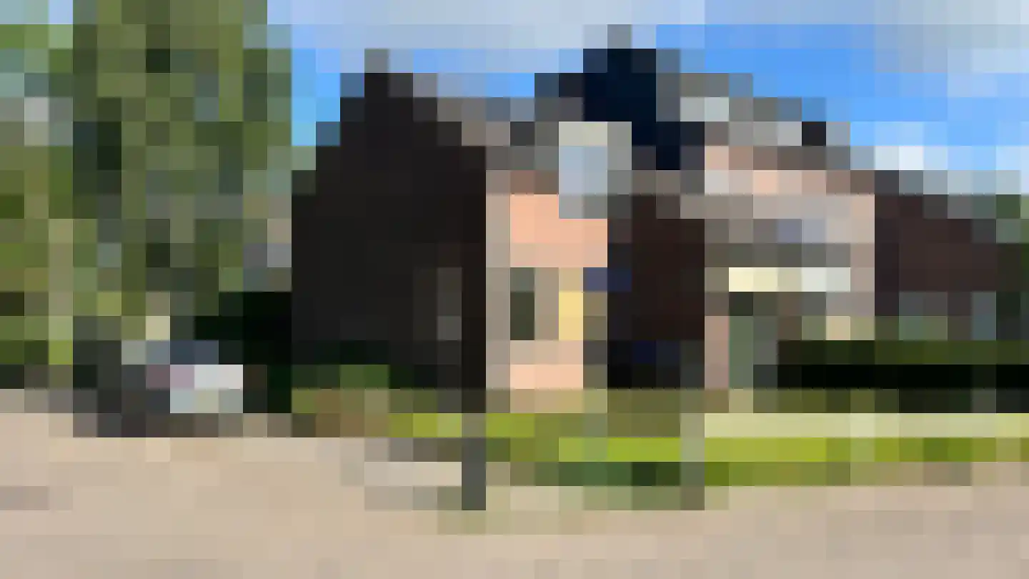 de Zonnebaars 60 Bergschenhoek thumbnail 28