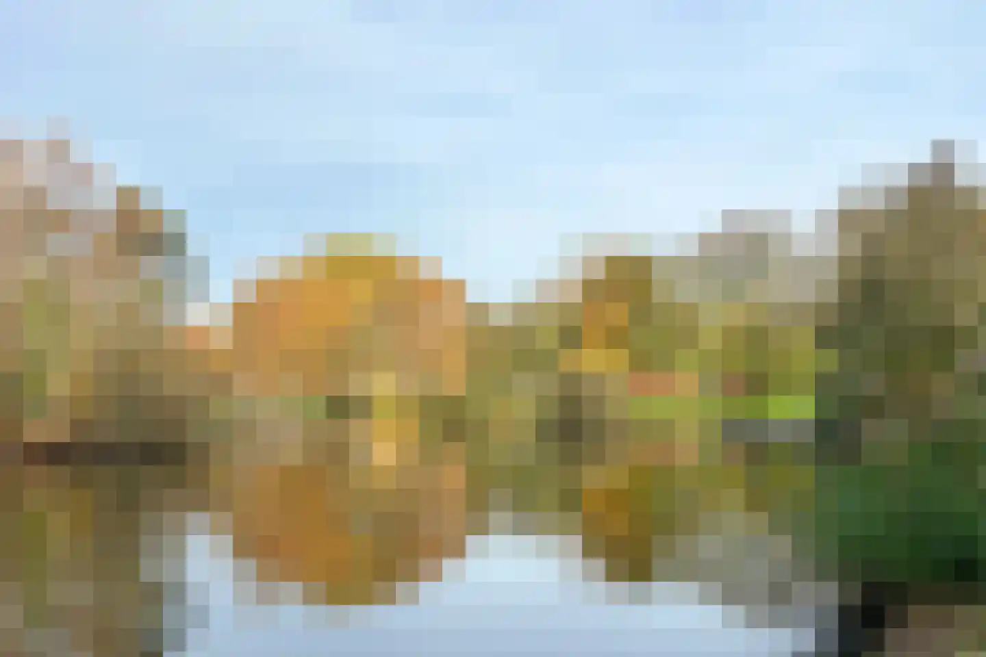de Zonnebaars 60 Bergschenhoek thumbnail 36