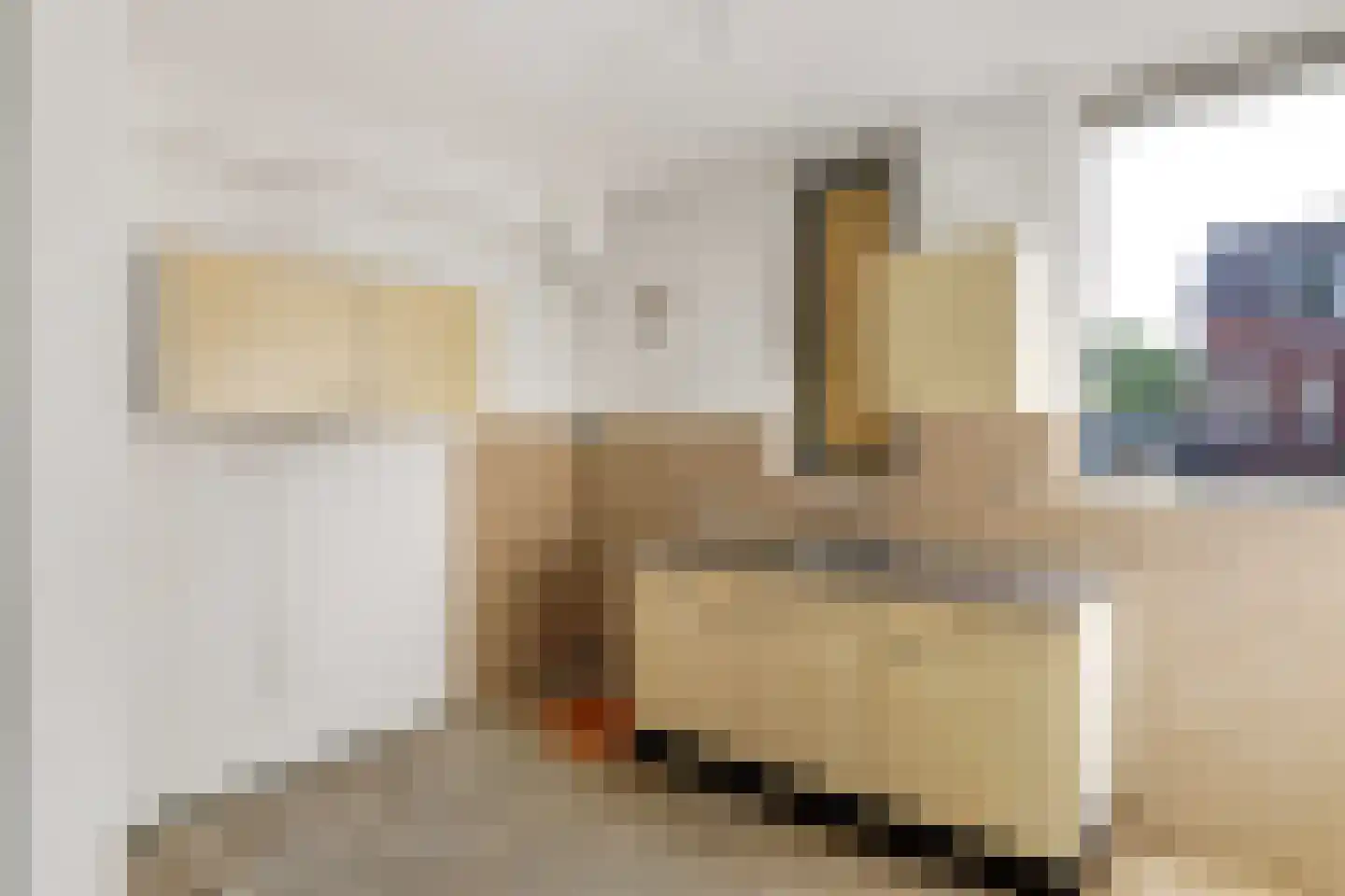 de Zonnebaars 60 Bergschenhoek thumbnail 9
