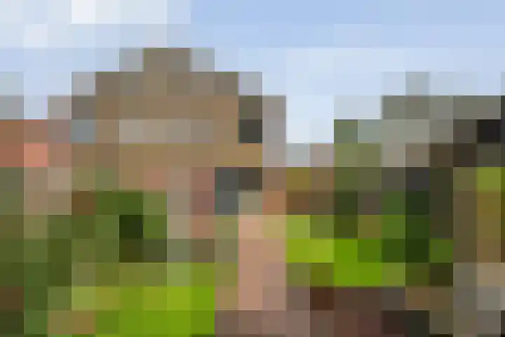 De Zonnedauw 15 Dedemsvaart