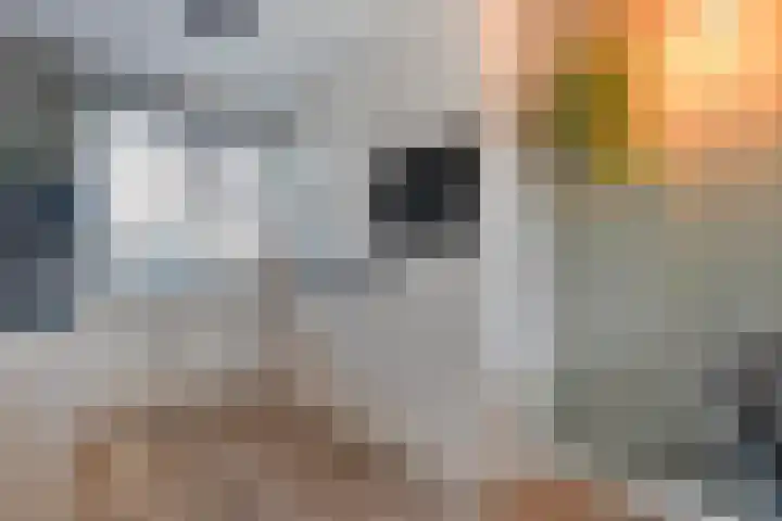 De Zonnedauw 15 Dedemsvaart thumbnail 10