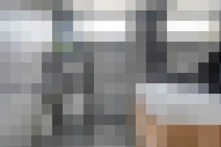 De Zonnedauw 15 Dedemsvaart thumbnail 12
