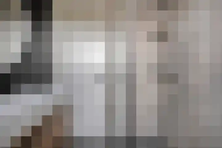 De Zonnedauw 15 Dedemsvaart thumbnail 13