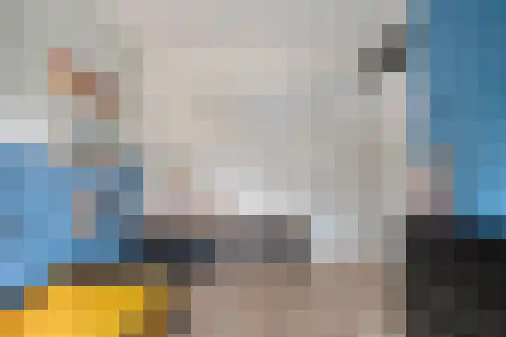 De Zonnedauw 15 Dedemsvaart thumbnail 16