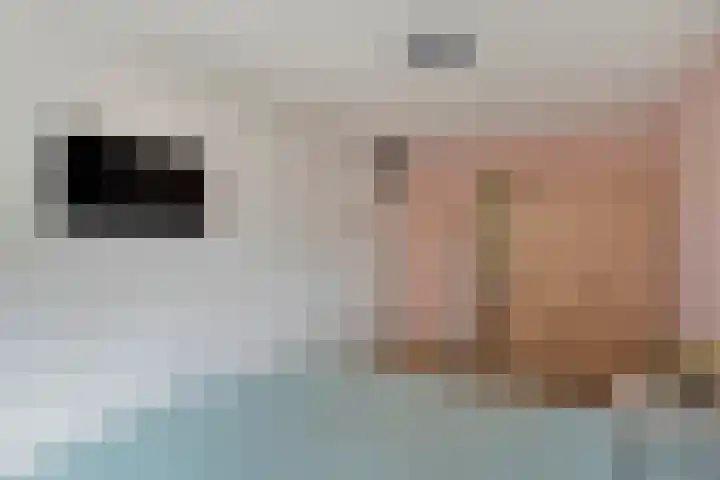 De Zonnedauw 15 Dedemsvaart thumbnail 18
