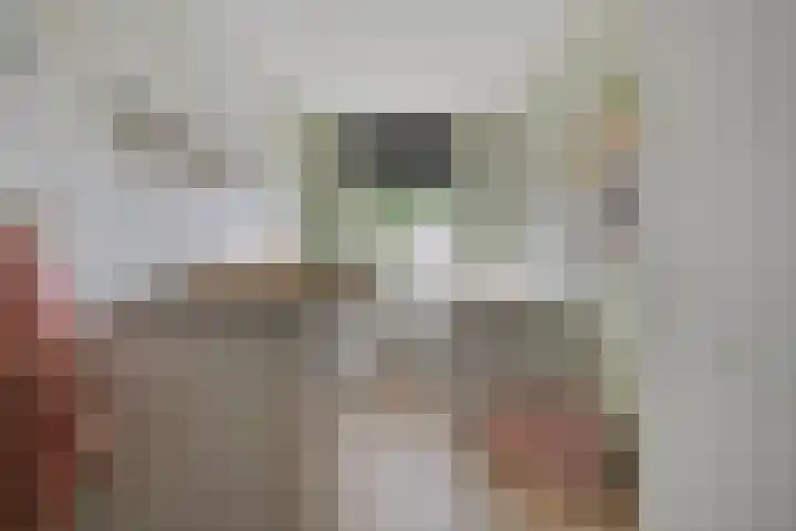 De Zonnedauw 15 Dedemsvaart thumbnail 19