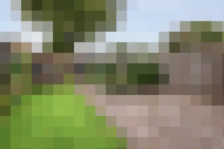 De Zonnedauw 15 Dedemsvaart foto 2