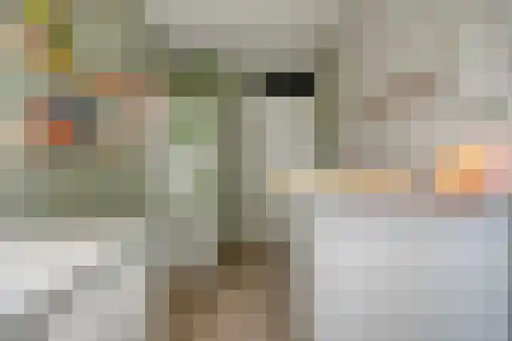 De Zonnedauw 15 Dedemsvaart thumbnail 20