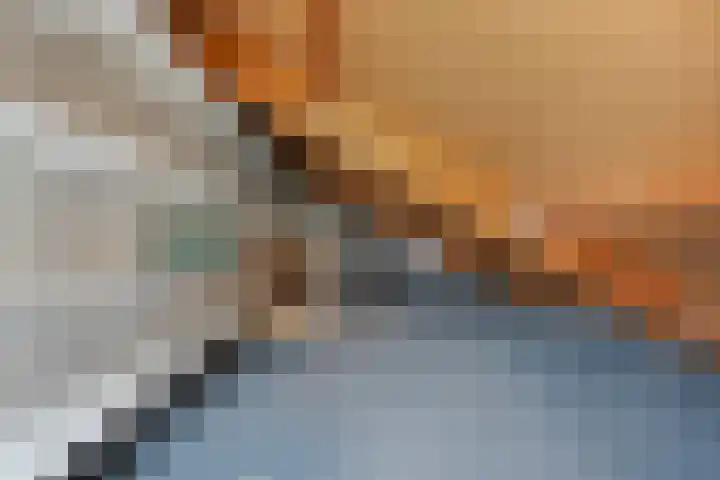 De Zonnedauw 15 Dedemsvaart thumbnail 21