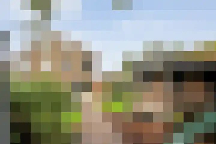 De Zonnedauw 15 Dedemsvaart thumbnail 22