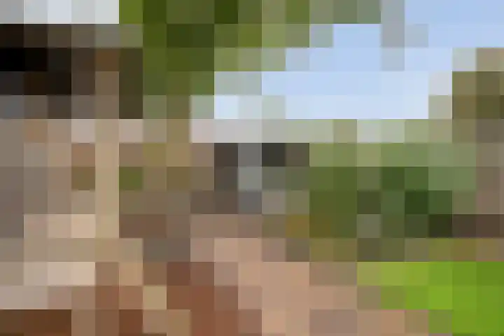 De Zonnedauw 15 Dedemsvaart thumbnail 23